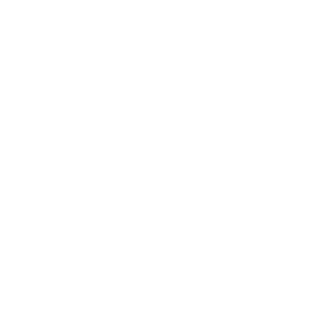 shield safety icon